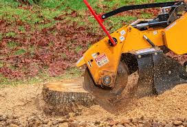 Best Emergency Tree Removal  in Livingston, TN