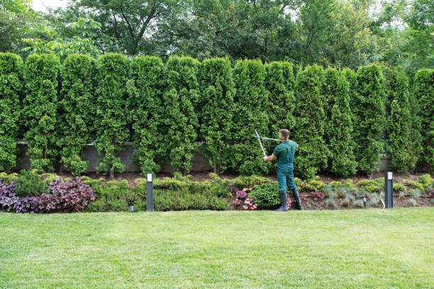 Best Artificial Turf Installation  in Livingston, TN