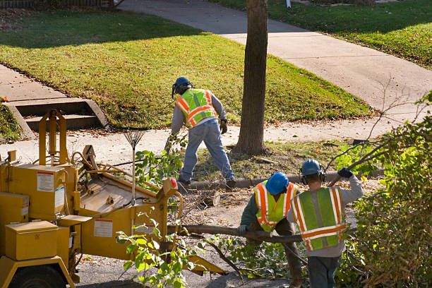 Lawn Pest Prevention in Livingston, TN